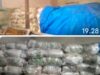 Pembagian Beras Pasar Murah Di Kab Kapuas Barat Harga Dinaikkan Oleh Pemgurus Menjadi 15 Ribu Per 1 Sak Isi 5 Kilo 