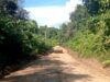 Dinas PUPR Barito Utara Tindaklanjuti Laporan Warga, Jalan Rusak di KM 30 Mulai Diperbaiki