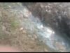 Lapak Karet Diduga Milik Wiwid dari Tirta Cemari hulu Sungai, Biota Ikan Ikon Tubaba Terancam