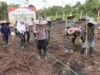 Tanam Jagung Seretak di Murung Raya, Dukung Swasembada Pangan