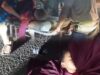Jalan Maut Panaragan Jaya Kembali Telan Korban Jiwa, Warga Murka: Pemerintah Tubaba Dinilai Lalai dan Gagal Lindungi Rakyat